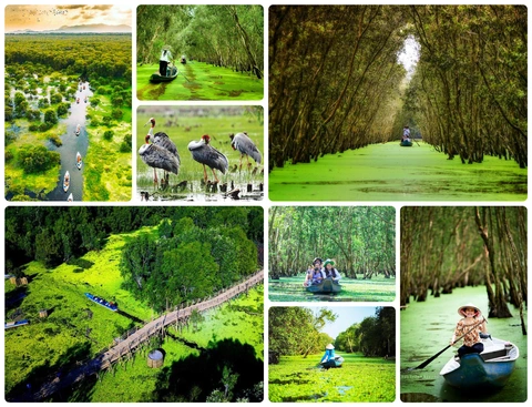 Rừng tràm Trà Sư Khám phá vùng đất rừng phương Nam