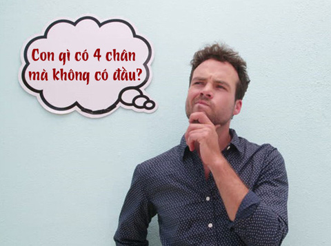 Ẩm thực liên quan đến động vật có 4 chân