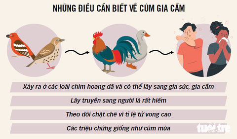 Thông tin về khả năng lây truyền của virus H5N1 từ người sang người