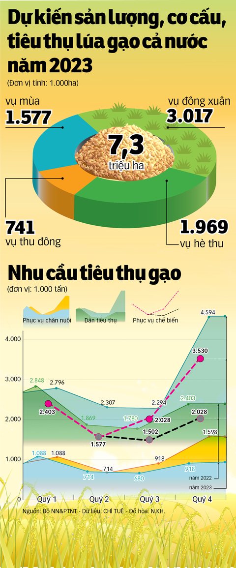 Các vùng trồng lúa chính