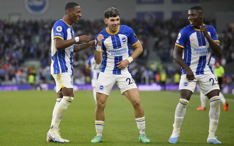 Tiểu sử và sự phát triển của CLB Brighton & Hove Albion