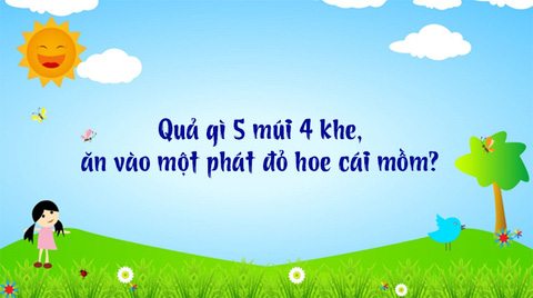 Quả gì 5 múi 4 khe? Khám phá đặc điểm và công dụng nổi bật