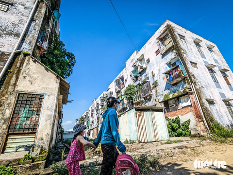 Nơm nớp lo chung cư thấm dột, cây bén rễ mọc trên tường - Tuổi Trẻ ...