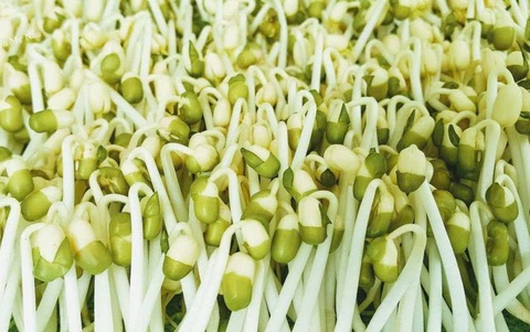 Những thực phẩm mà người mắc bệnh máu nhiễm mỡ nên quan tâm - Giải pháp dinh dưỡng hiệu quả Những thực phẩm mà người mắc bệnh máu nhiễm mỡ nên quan tâm - Giải pháp dinh dưỡng hiệu quả