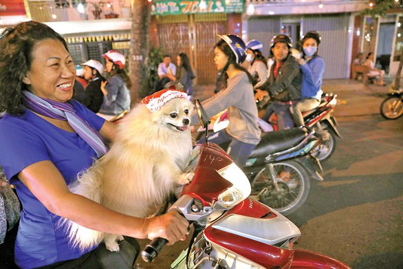 Xóm đạo Sài Gòn lung linh đón Giáng sinh - Ảnh 8. Xóm đạo Sài Gòn lung linh đón Giáng sinh - Ảnh 8.