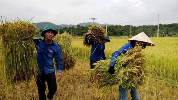 Được đưa vào trường học trú bão, tôi thấy yên tâm hơn... - Ảnh 15. Được đưa vào trường học trú bão, tôi thấy yên tâm hơn... - Ảnh 15.