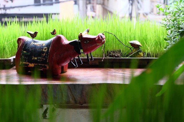 Trâu của Nguyên trâu: phô bày chân phương tối giản đầy thành ý - Ảnh 6. Trâu của Nguyên trâu: phô bày chân phương tối giản đầy thành ý - Ảnh 6.