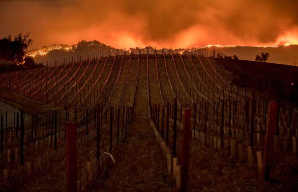 4 ngày chìm trong biển lửa của California - Ảnh 7. 4 ngày chìm trong biển lửa của California - Ảnh 7.