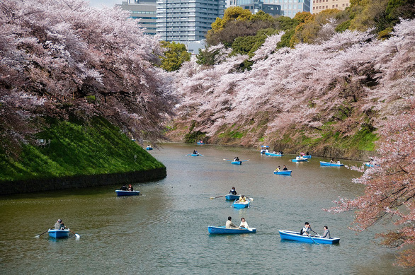 Đi đại thành phố Tokyo chơi gì, ăn gì, mua gì? - Ảnh 14. Đi đại thành phố Tokyo chơi gì, ăn gì, mua gì? - Ảnh 14.