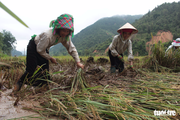 Trạm Tấu - Yên Bái: Nhà cửa, ôtô bị lũ cuốn phăng - Ảnh 12. Trạm Tấu - Yên Bái: Nhà cửa, ôtô bị lũ cuốn phăng - Ảnh 12.