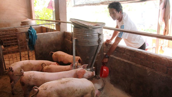 Thấp thỏm ‘phận’ giáo viên hợp đồng - Ảnh 11. Thấp thỏm ‘phận’ giáo viên hợp đồng - Ảnh 11.