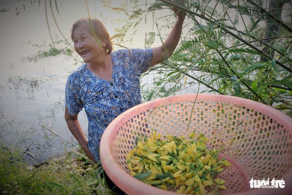 Về miền Tây mùa nước lũ: Sản vật Đồng Tháp Mười - Ảnh 8. Về miền Tây mùa nước lũ: Sản vật Đồng Tháp Mười - Ảnh 8.