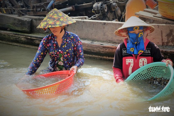 Về miền Tây mùa nước lũ: Sản vật Đồng Tháp Mười - Ảnh 3. Về miền Tây mùa nước lũ: Sản vật Đồng Tháp Mười - Ảnh 3.