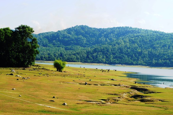 Cuối tuần đi ngắm hồ Phú Ninh mùa nước cạn - Ảnh 5. Cuối tuần đi ngắm hồ Phú Ninh mùa nước cạn - Ảnh 5.
