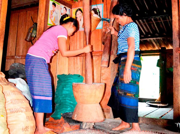 tavong1 tavong1
