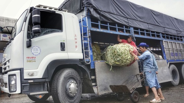 Ứng phó khi giá xăng dầu tăng - Ảnh 2. Ứng phó khi giá xăng dầu tăng - Ảnh 2.