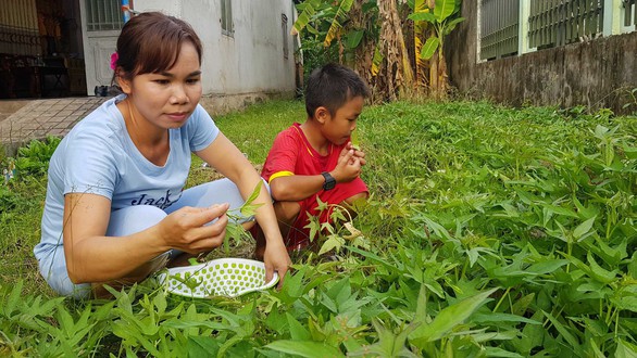 Nỗi niềm sau bục giảng - Ảnh 1. Nỗi niềm sau bục giảng - Ảnh 1.