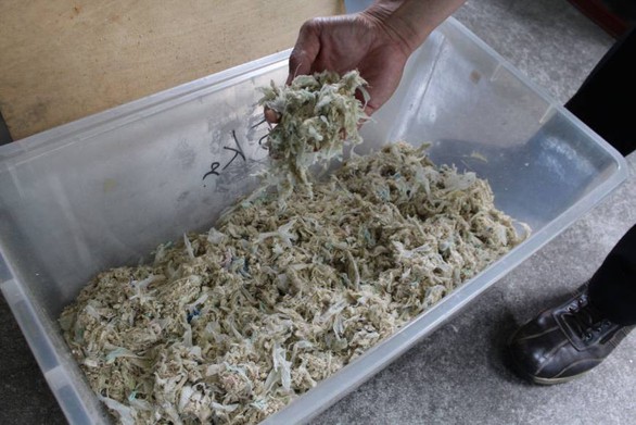 Dân số già nhanh, Nhật Bản chuẩn hóa việc tái chế tã người lớn - Ảnh 1. Dân số già nhanh, Nhật Bản chuẩn hóa việc tái chế tã người lớn - Ảnh 1.