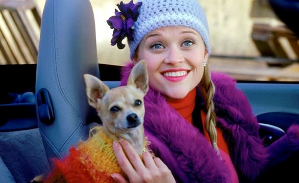 YouTube phát phim Hollywood kèm quảng cáo - Ảnh 1. YouTube phát phim Hollywood kèm quảng cáo - Ảnh 1.
