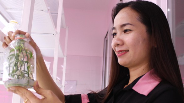 Sân chơi Euréka ươm quả ngọt khoa học trẻ - Ảnh 1. Sân chơi Euréka ươm quả ngọt khoa học trẻ - Ảnh 1.