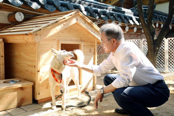 ‘Món quà hòa bình của lãnh đạo Triều Tiên sinh sôi trên đất Hàn - Ảnh 2. ‘Món quà hòa bình của lãnh đạo Triều Tiên sinh sôi trên đất Hàn - Ảnh 2.