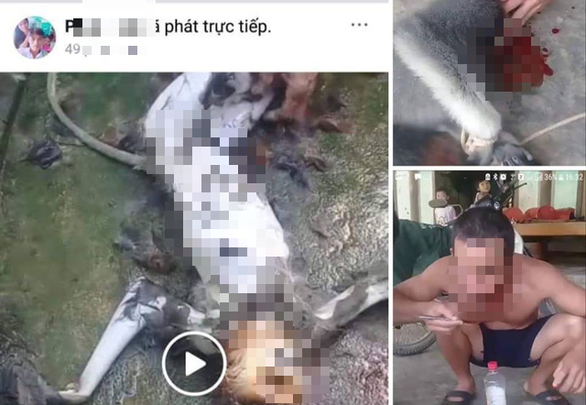 Lại giết khỉ ăn óc khoe phây: nghĩ sao đây?! - Ảnh 1. Lại giết khỉ ăn óc khoe phây: nghĩ sao đây?! - Ảnh 1.