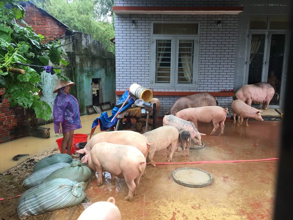 Khả năng chưa thể thông quốc lộ 1 trong đêm 10-12-2018 - Ảnh 4. Khả năng chưa thể thông quốc lộ 1 trong đêm 10-12-2018 - Ảnh 4.