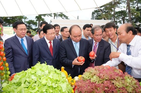 Đà Lạt - Kết tinh kỳ diệu từ đất lành – thương hiệu cho nông sản sạch - Ảnh 3. Đà Lạt - Kết tinh kỳ diệu từ đất lành – thương hiệu cho nông sản sạch - Ảnh 3.