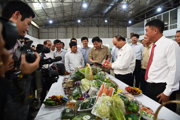 Đà Lạt - Kết tinh kỳ diệu từ đất lành – thương hiệu cho nông sản sạch - Ảnh 5. Đà Lạt - Kết tinh kỳ diệu từ đất lành – thương hiệu cho nông sản sạch - Ảnh 5.