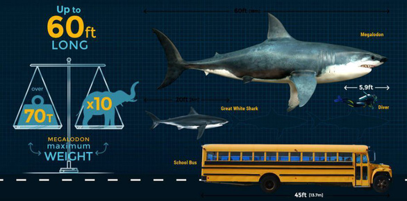 Siêu cá mập Megalodon tuyệt chủng vì ung thư? - Ảnh 1.