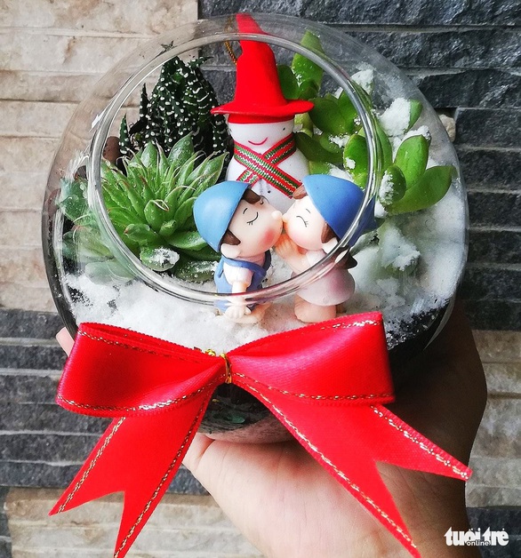 Bạn trẻ biến tấu cây xanh thân thiện môi trường mùa Giáng sinh - Ảnh 6. Bạn trẻ biến tấu cây xanh thân thiện môi trường mùa Giáng sinh - Ảnh 6.