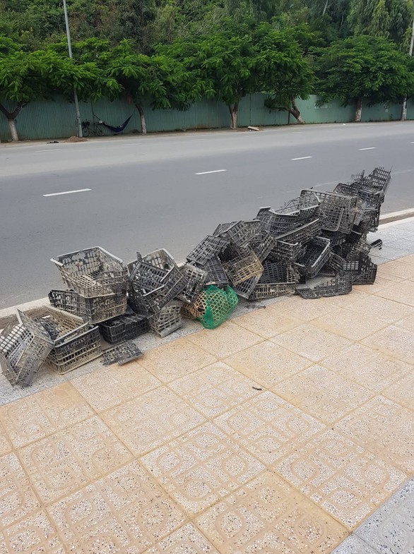 Bãi biển sạch - món quà năm mới cho Nha Trang - Ảnh 2. Bãi biển sạch - món quà năm mới cho Nha Trang - Ảnh 2.
