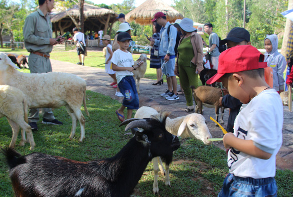 Khách sạn Phú Quốc kín khách du lịch cuối năm 2018 - Ảnh 2.