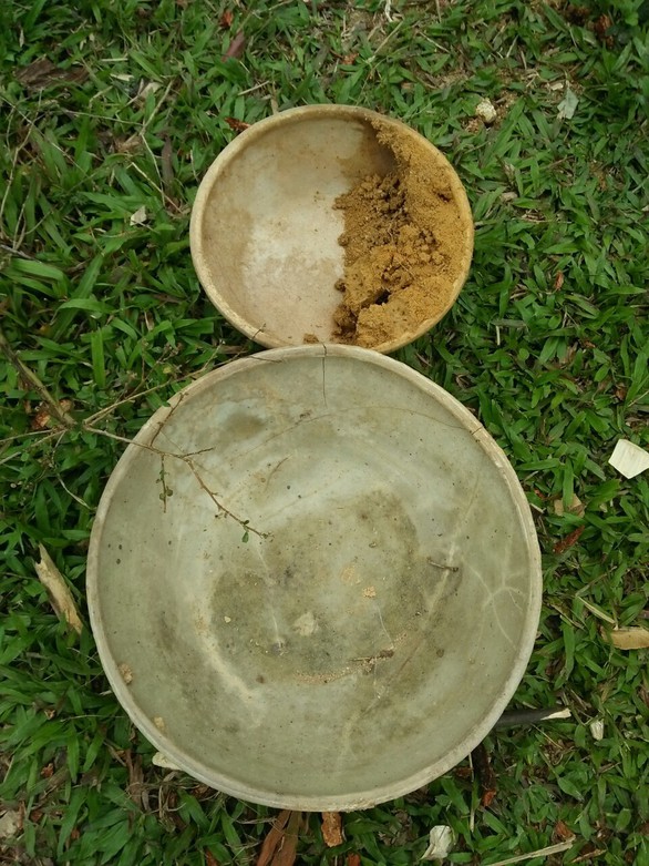 Phát hiện hang động ở Thanh Hóa có đồ sứ nghi là cổ vật - Ảnh 2. Phát hiện hang động ở Thanh Hóa có đồ sứ nghi là cổ vật - Ảnh 2.