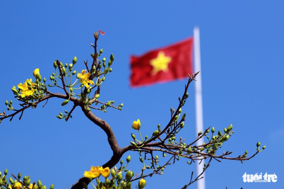 Buôn Ma Thuột lần đầu làm đường hoa đón tết - Ảnh 5. Buôn Ma Thuột lần đầu làm đường hoa đón tết - Ảnh 5.