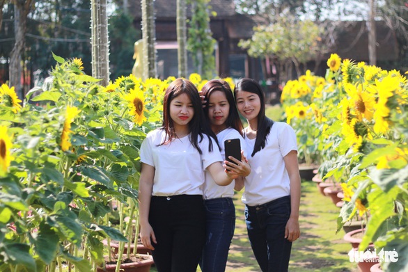 Buôn Ma Thuột lần đầu làm đường hoa đón tết - Ảnh 6. Buôn Ma Thuột lần đầu làm đường hoa đón tết - Ảnh 6.