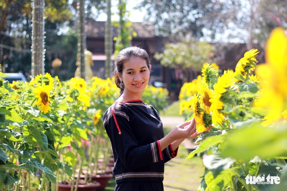 Buôn Ma Thuột lần đầu làm đường hoa đón tết - Ảnh 7. Buôn Ma Thuột lần đầu làm đường hoa đón tết - Ảnh 7.