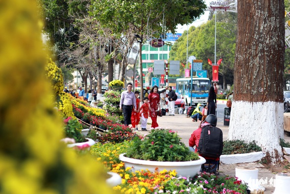 Buôn Ma Thuột lần đầu làm đường hoa đón tết - Ảnh 4. Buôn Ma Thuột lần đầu làm đường hoa đón tết - Ảnh 4.
