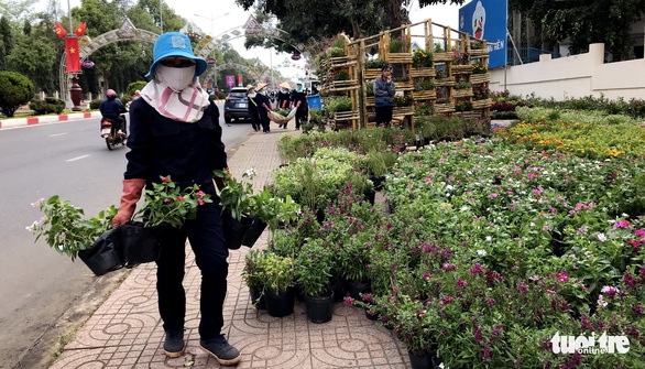 Buôn Ma Thuột lần đầu làm đường hoa đón tết - Ảnh 2. Buôn Ma Thuột lần đầu làm đường hoa đón tết - Ảnh 2.