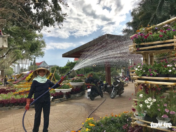 Buôn Ma Thuột lần đầu làm đường hoa đón tết - Ảnh 3. Buôn Ma Thuột lần đầu làm đường hoa đón tết - Ảnh 3.