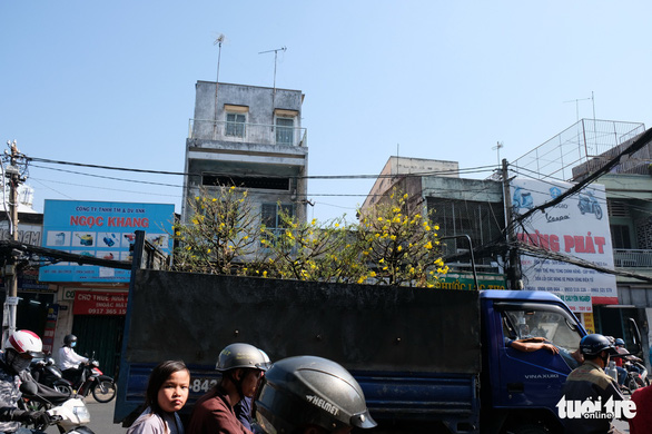 Màu tết rực rỡ tràn ngập phố Sài Gòn  - Ảnh 8.