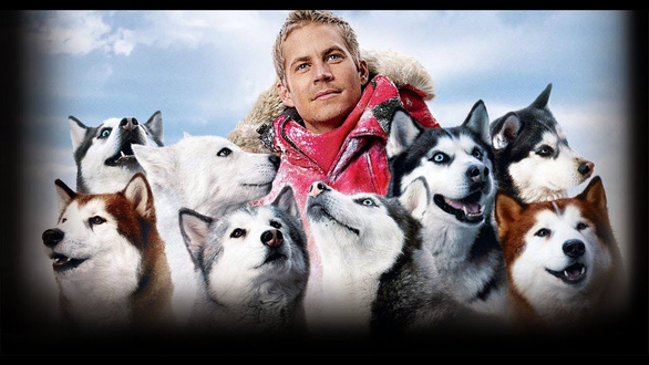 Năm Mậu Tuất xem 6 phim về những chú chó đáng yêu - Ảnh 5.