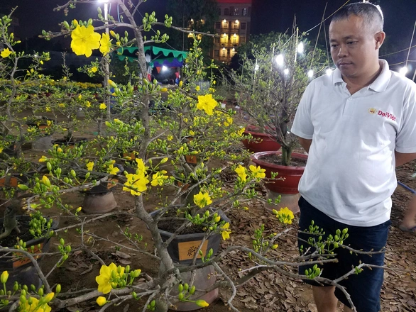 Dân Sài Gòn hối hả săn mai Tết tận khuya - Ảnh 5. Dân Sài Gòn hối hả săn mai Tết tận khuya - Ảnh 5.