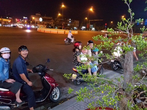 Dân Sài Gòn hối hả săn mai Tết tận khuya - Ảnh 6. Dân Sài Gòn hối hả săn mai Tết tận khuya - Ảnh 6.