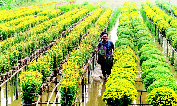 Nông dân ăn Tết vui - Ảnh 1. Nông dân ăn Tết vui - Ảnh 1.