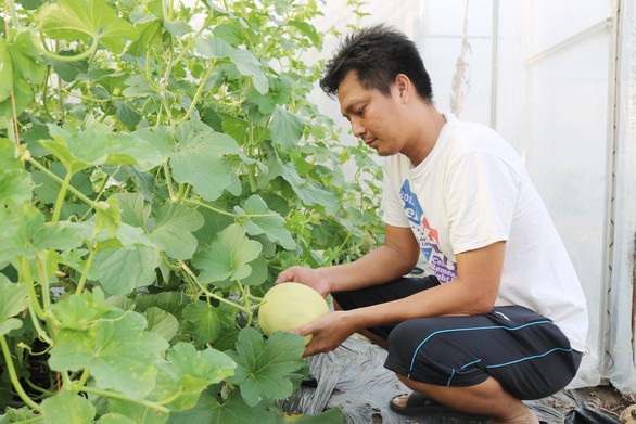Miền Tây hỗ trợ khởi nghiệp - Ảnh 1. Miền Tây hỗ trợ khởi nghiệp - Ảnh 1.