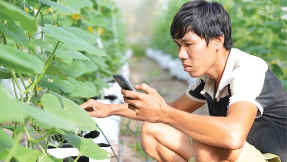 Trái ngọt từ bàn tay, khối óc và tinh thần sáng tạo - Ảnh 3. Trái ngọt từ bàn tay, khối óc và tinh thần sáng tạo - Ảnh 3.