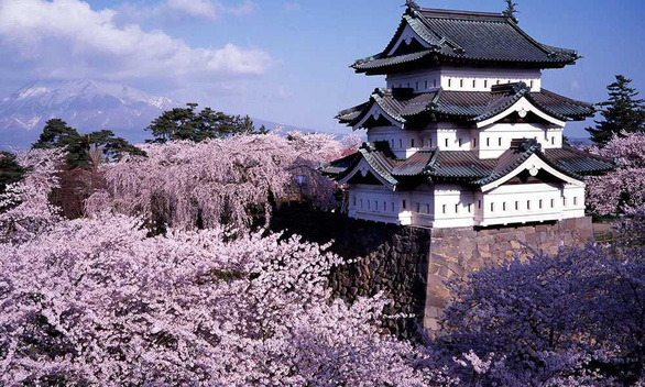 Đi Nhật Bản ngắm hoa anh đào ở đâu đẹp nhất? (phần 2) - Ảnh 7.