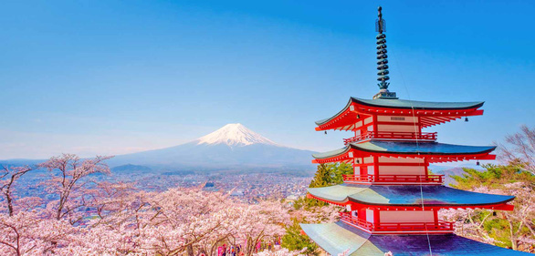 Đi Nhật Bản ngắm hoa anh đào ở đâu đẹp nhất? (phần 2) - Ảnh 1.