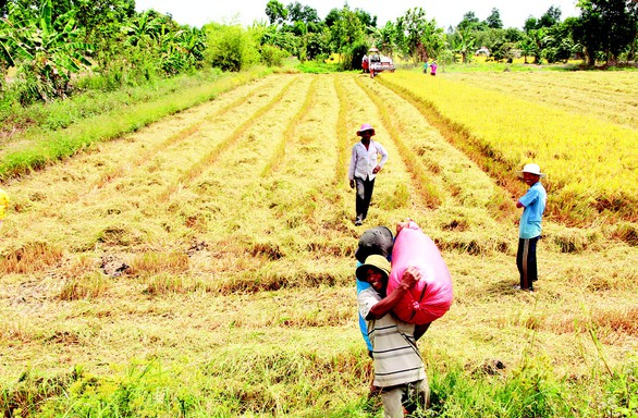 Nuôi trồng ở ĐBSCL: Thuận thiên thôi, chưa đủ! - Ảnh 3. Nuôi trồng ở ĐBSCL: Thuận thiên thôi, chưa đủ! - Ảnh 3.
